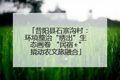 昔阳县石寨沟村：环境整治“绣出”生态画卷 “民宿+”撬动农文旅融合