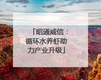 昭通威信：循环水养虾助力产业升级