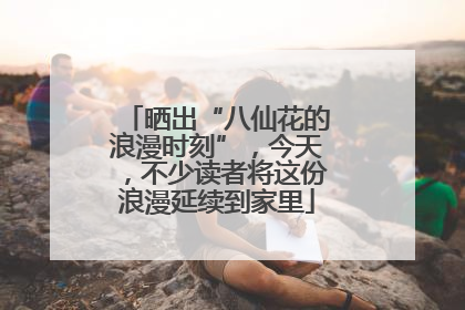 晒出“八仙花的浪漫时刻”，今天，不少读者将这份浪漫延续到家里
