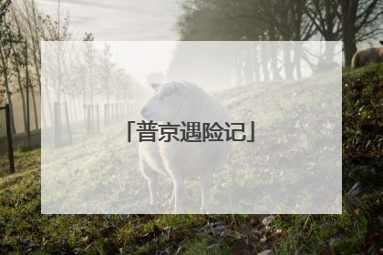普京遇险记