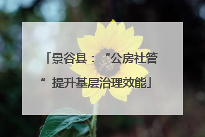 景谷县：“公房社管”提升基层治理效能