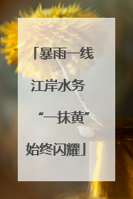 暴雨一线 江岸水务“一抹黄”始终闪耀