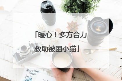 暖心！多方合力救助被困小猫