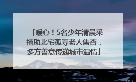 暖心！5名少年清晨采摘助北宅孤寡老人售杏，多方善意传递城市温情