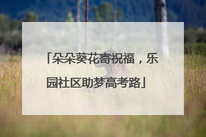 朵朵葵花寄祝福，乐园社区助梦高考路