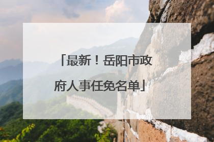 最新！岳阳市政府人事任免名单