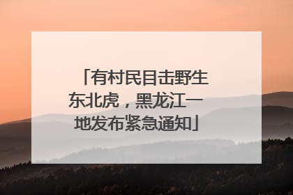 有村民目击野生东北虎，黑龙江一地发布紧急通知