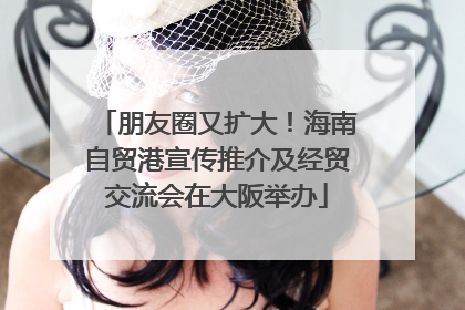 朋友圈又扩大！海南自贸港宣传推介及经贸交流会在大阪举办