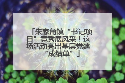 朱家角镇“书记项目”竞秀展风采！这场活动亮出基层党建“成绩单”