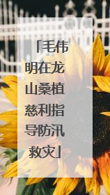 毛伟明在龙山桑植慈利指导防汛救灾