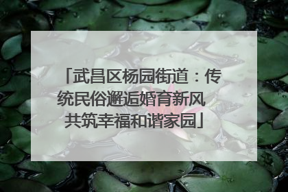 武昌区杨园街道：传统民俗邂逅婚育新风 共筑幸福和谐家园