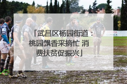 武昌区杨园街道：桃园飘香采摘忙 消费扶贫促振兴