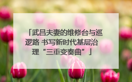 武昌夫妻的维修台与巡逻路 书写新时代基层治理“三重变奏曲”