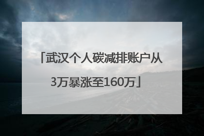 武汉个人碳减排账户从3万暴涨至160万