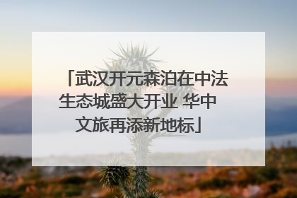 武汉开元森泊在中法生态城盛大开业 华中文旅再添新地标