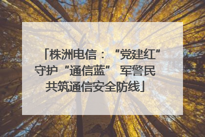 株洲电信：“党建红”守护“通信蓝” 军警民共筑通信安全防线