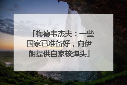 梅德韦杰夫：一些国家已准备好，向伊朗提供自家核弹头