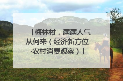 梅林村，满满人气从何来（经济新方位·农村消费观察）