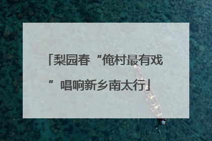 梨园春“俺村最有戏”唱响新乡南太行