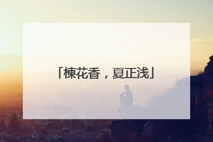 楝花香，夏正浅
