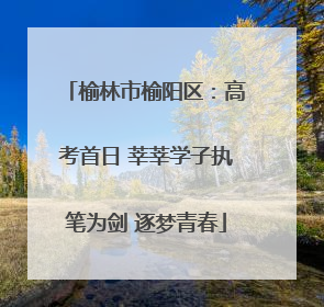 榆林市榆阳区：高考首日 莘莘学子执笔为剑 逐梦青春