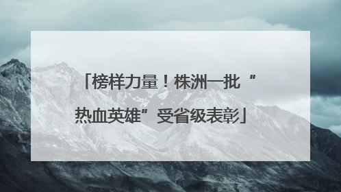 榜样力量！株洲一批“热血英雄”受省级表彰