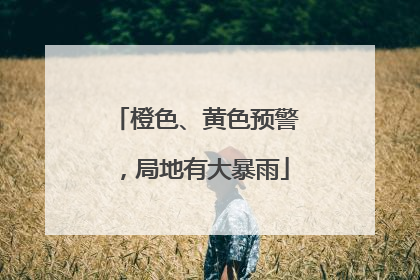 橙色、黄色预警，局地有大暴雨