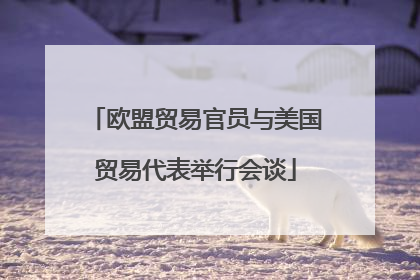 欧盟贸易官员与美国贸易代表举行会谈