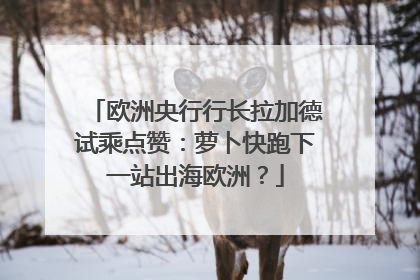 欧洲央行行长拉加德试乘点赞：萝卜快跑下一站出海欧洲？