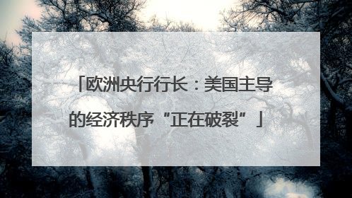 欧洲央行行长：美国主导的经济秩序“正在破裂”
