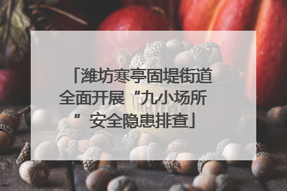 潍坊寒亭固堤街道全面开展“九小场所”安全隐患排查