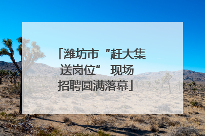 潍坊市“赶大集 送岗位” 现场招聘圆满落幕