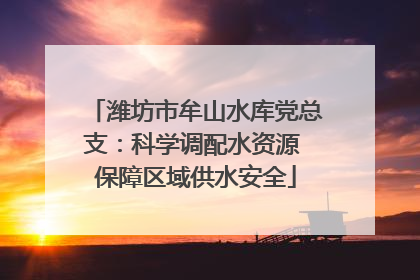 潍坊市牟山水库党总支：科学调配水资源 保障区域供水安全