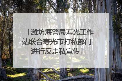 潍坊海警局寿光工作站联合寿光市打私部门进行反走私宣传