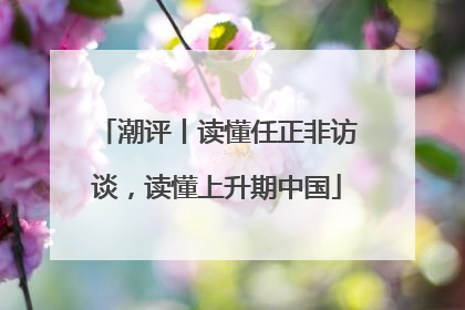 潮评丨读懂任正非访谈，读懂上升期中国