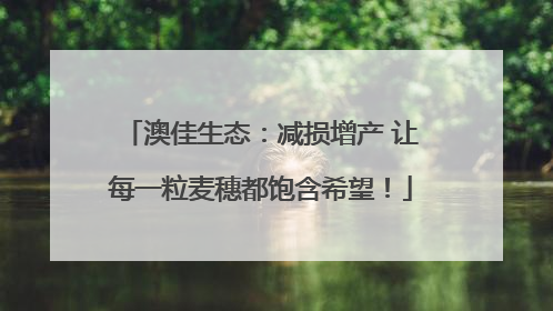 澳佳生态：减损增产 让每一粒麦穗都饱含希望！
