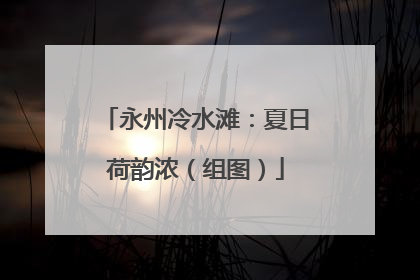 永州冷水滩：夏日荷韵浓（组图）