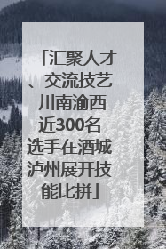 汇聚人才、交流技艺 川南渝西近300名选手在酒城泸州展开技能比拼