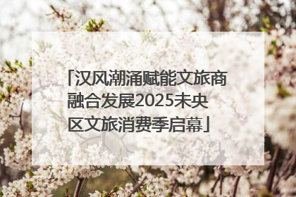 汉风潮涌赋能文旅商融合发展2025未央区文旅消费季启幕
