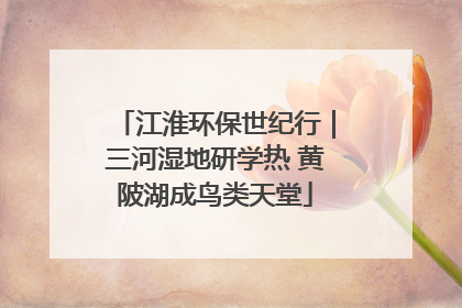 江淮环保世纪行｜三河湿地研学热 黄陂湖成鸟类天堂