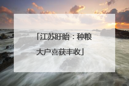 江苏盱眙：种粮大户喜获丰收