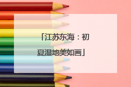 江苏东海：初夏湿地美如画