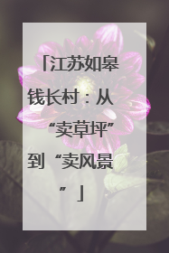 江苏如皋钱长村：从“卖草坪”到“卖风景”