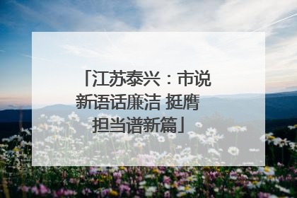 江苏泰兴：市说新语话廉洁 挺膺担当谱新篇