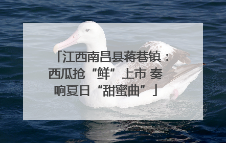 江西南昌县蒋巷镇：西瓜抢“鲜”上市 奏响夏日“甜蜜曲”