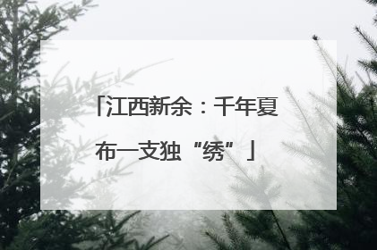 江西新余：千年夏布一支独“绣”