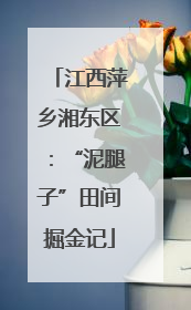 江西萍乡湘东区：“泥腿子”田间掘金记