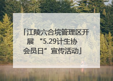 江陵六合垸管理区开展 “5.29计生协会员日”宣传活动