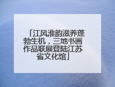 江风淮韵滋养蓬勃生机，三地书画作品联展登陆江苏省文化馆