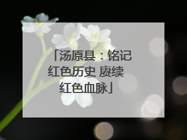 汤原县：铭记红色历史 赓续红色血脉